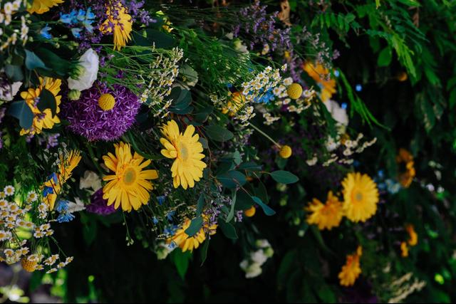 Daniel Laboratorio Floreale - 1