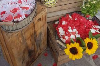 Zublena Roberta Fiori - 31