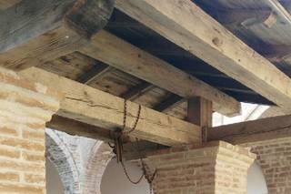 Pasini Flowers and more - 21