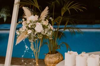 Colombo Fiori & Piante - 25