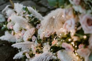 Colombo Fiori & Piante - 26