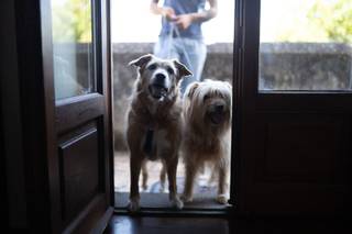 Fabrizio Musolino - 9