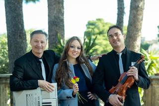 Accordion Group - 8