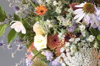 Oddkin Flower Farm & Studio - 5