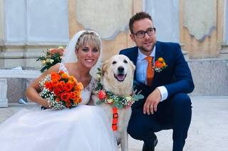 Silvia Wedding Dog Sitter - 9