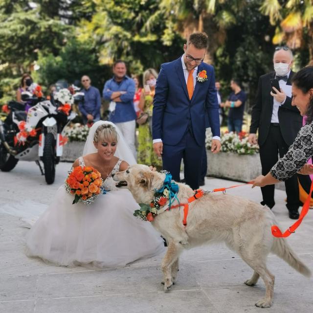 Silvia Wedding Dog Sitter - 4