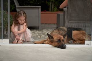 Danilo Garcia Di Meo - 26