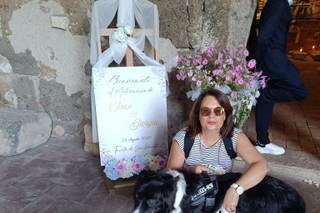Le Cat e Dog Sitter - Wedding - 14