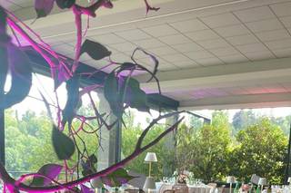 Ristorante Il Pianone - 8