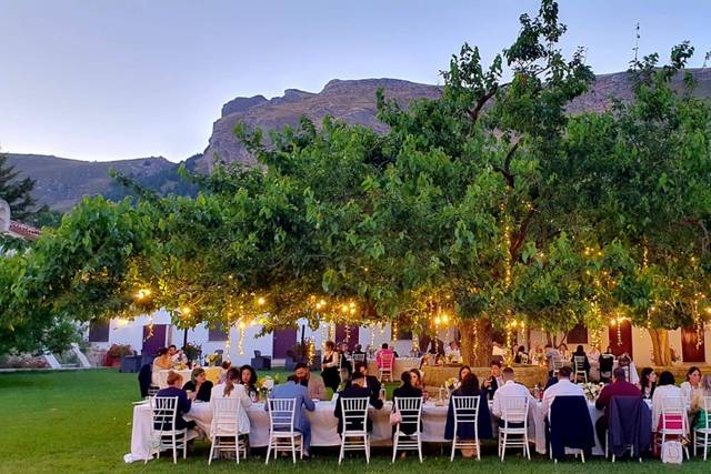 Luminarie D'Arredo Wedding Lights 3