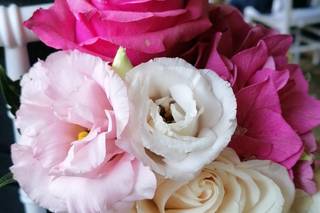 SOS Il Profumo dei Fiori - 23