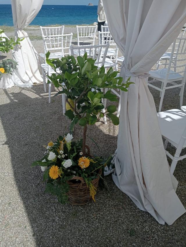 Il Nido dei Fiori - 2