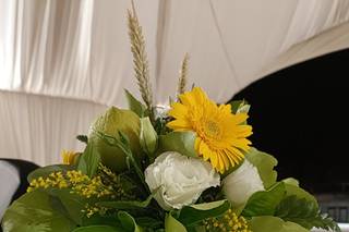 Il Nido dei Fiori - 10