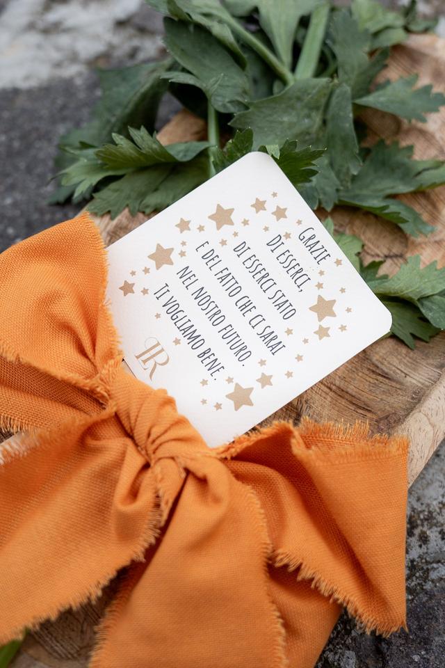 Cattlin Wedding Planner - 2