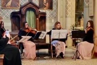 Archidee Strings - 5