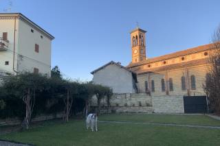Palazzo Pozzobonelli - 6
