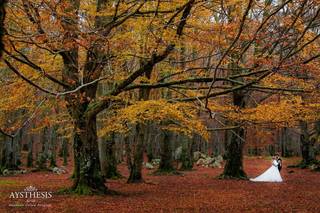 Aysthesis Foto Studio - 13