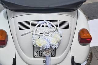 Princess Wedding Car - 19