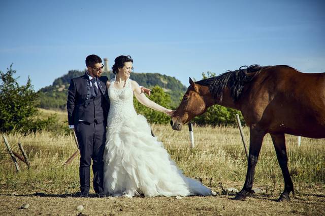 Yolo Wedding 5