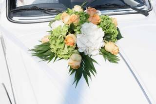 Fioreria Adriano Vacchelli - 12