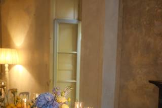 Serena Roga Events - 5