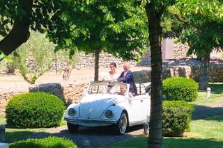 Maggiolino in Love - 6