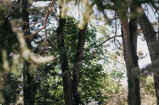 Villa Monte Morone - 6