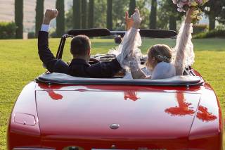 Regini Fiori e Piante - 10