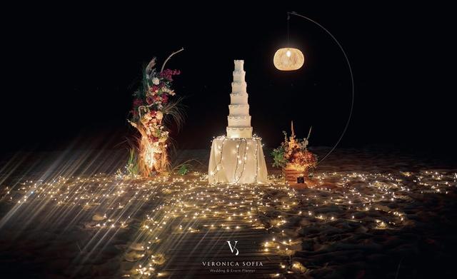 Veronica Sofia Event Planner - 1