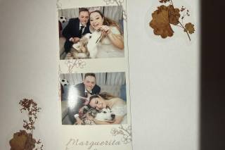 Autoscatto - Pulmino PhotoBooth - 10