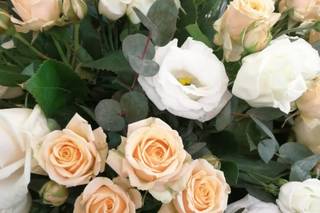 Lozza Fiori - 5