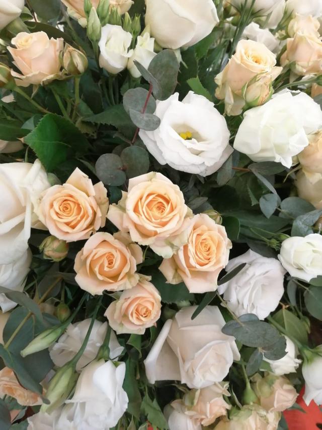 Lozza Fiori - 2