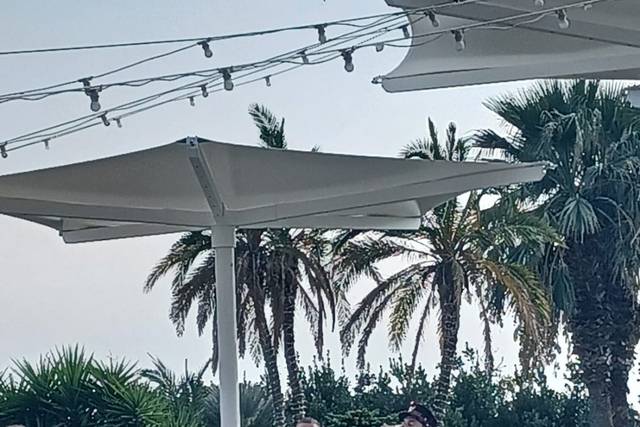 Blue Marlin Club 5