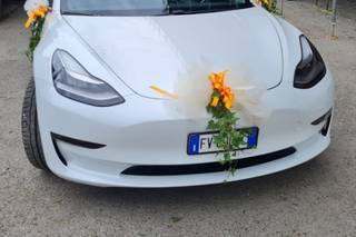 Lozza Fiori - 6