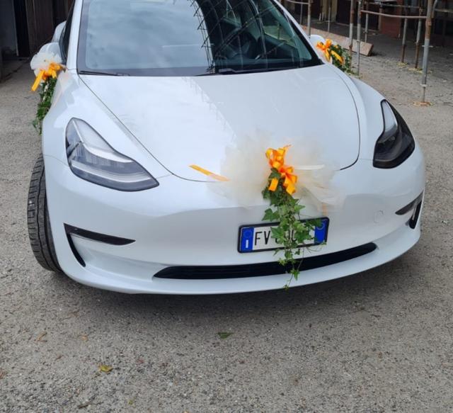 Lozza Fiori - 1