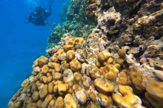 TripLab di Antonio Porto - 5