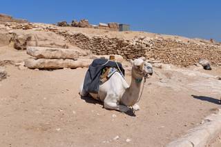 TripLab di Antonio Porto - 7