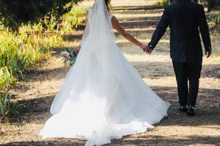 Guglielmo Calandrini Photo&Video - 1