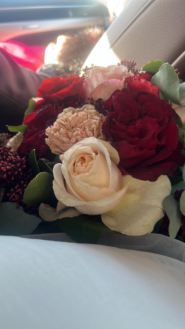 Melina Fiori e Piante - 4