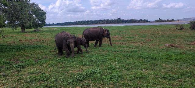 Ippogrifo Viaggi - 4