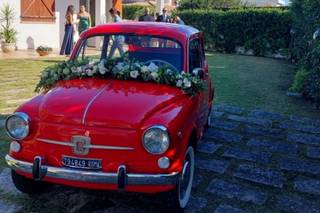 Fiorista Maryann - 18