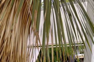 Al Boschetto Eventi - 7