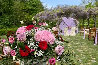 La Viola... e il Pensiero - 9