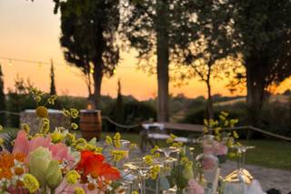 Agriturismo Biologico e Dimora Storica Borgo di Tragliata - 5