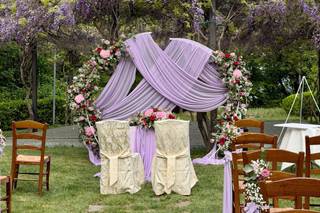 La Viola... e il Pensiero - 10