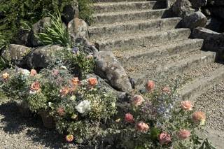 Il giardino delle meraviglie - 6