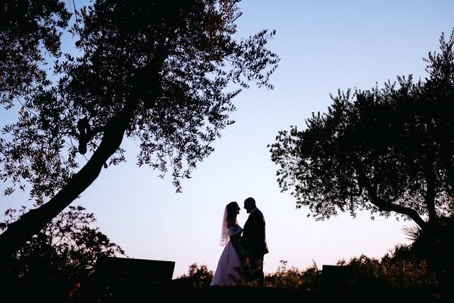 Tenuta Poggetto 4