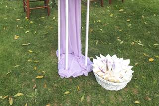 La Viola... e il Pensiero - 5