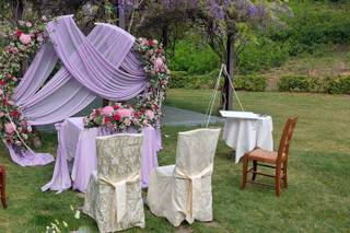 La Viola... e il Pensiero - 6