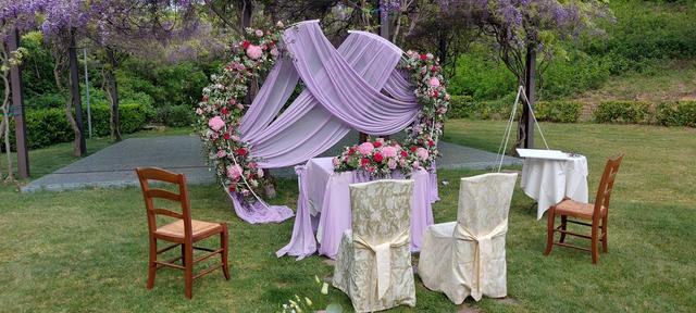 La Viola... e il Pensiero - 1